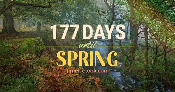 timer-clock.com