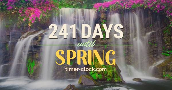 timer-clock.com